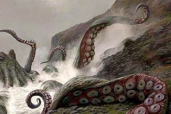 Kraken что это за магазин