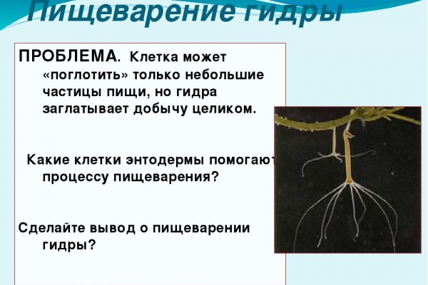 Можно ли восстановить аккаунт в кракен даркнет