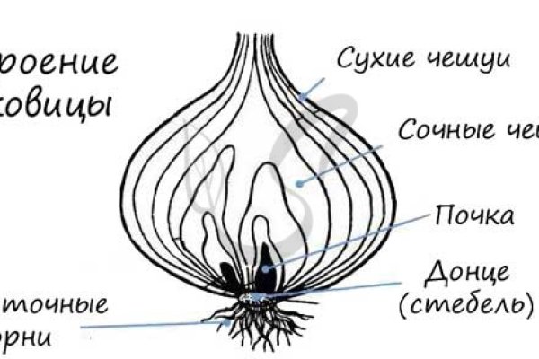 Ссылки даркнета