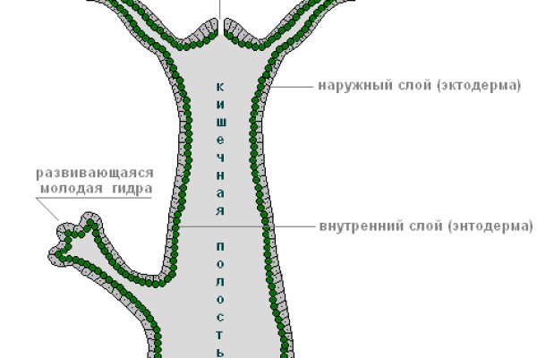 Kra34.cc