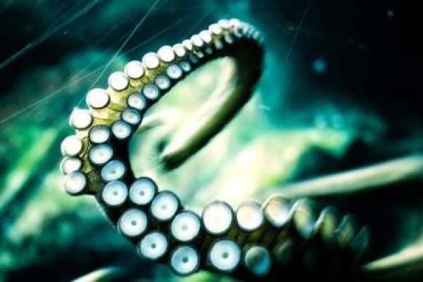 Tor kraken маркет