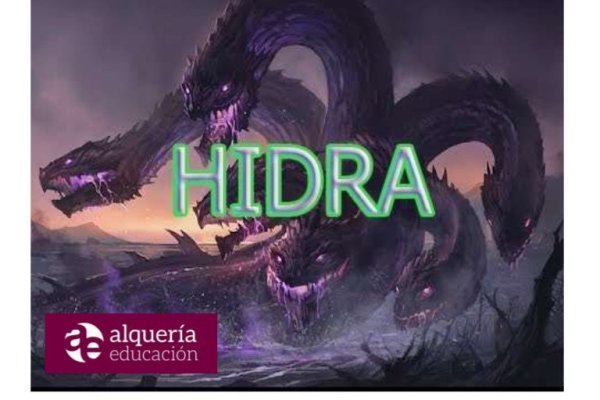 Ссылки на сайты даркнета
