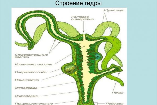 Рабочее зеркало кракен store