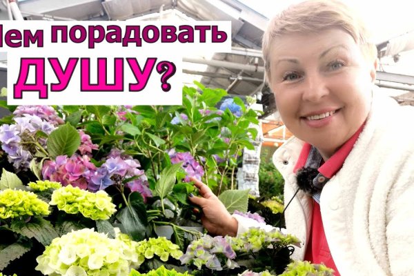 Что с кракеном сайт