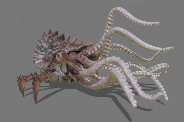 Kraken12 at сайт