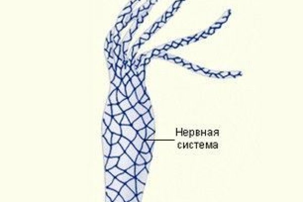 Кракен сайт официальный kraken clear com