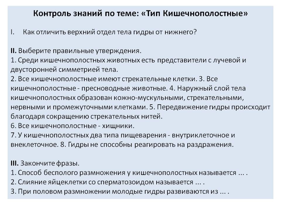 Магазин даркнета